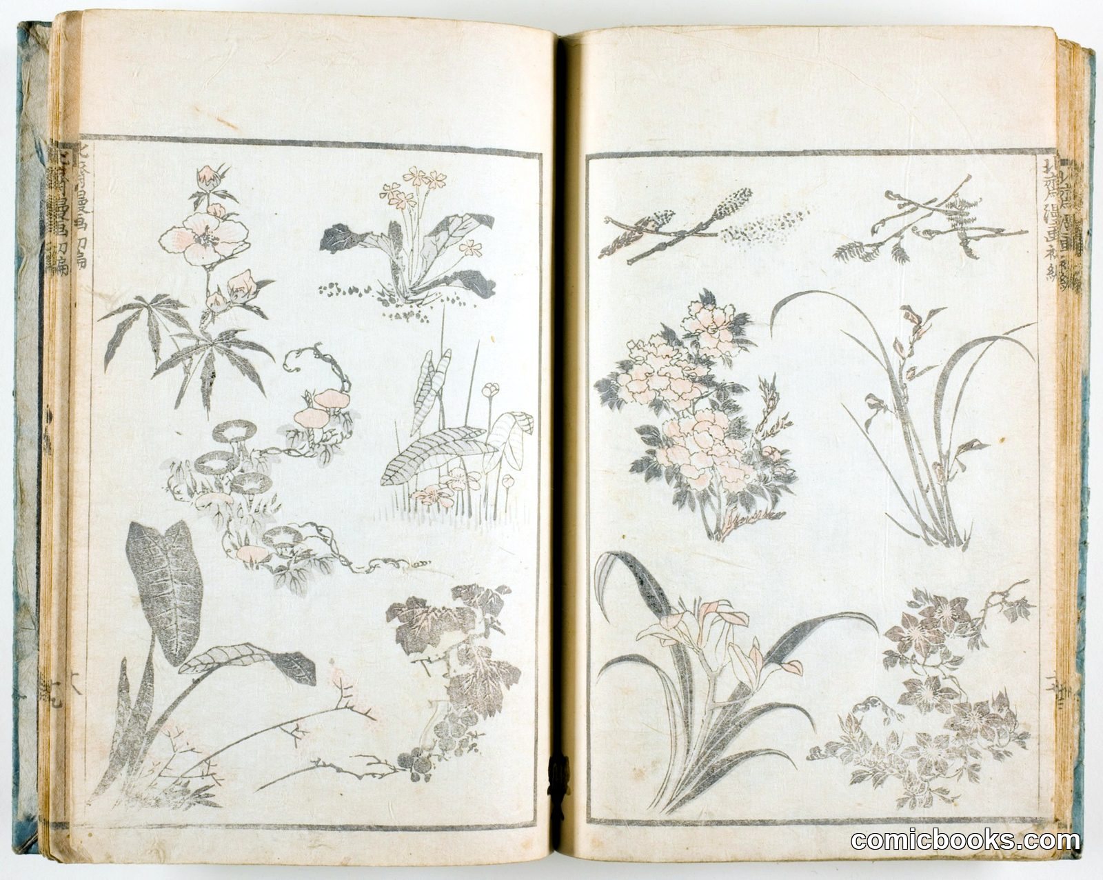 Hokusai manga (Sketches of Hokusai), v. 1-3, 5-11, and 14 of 15