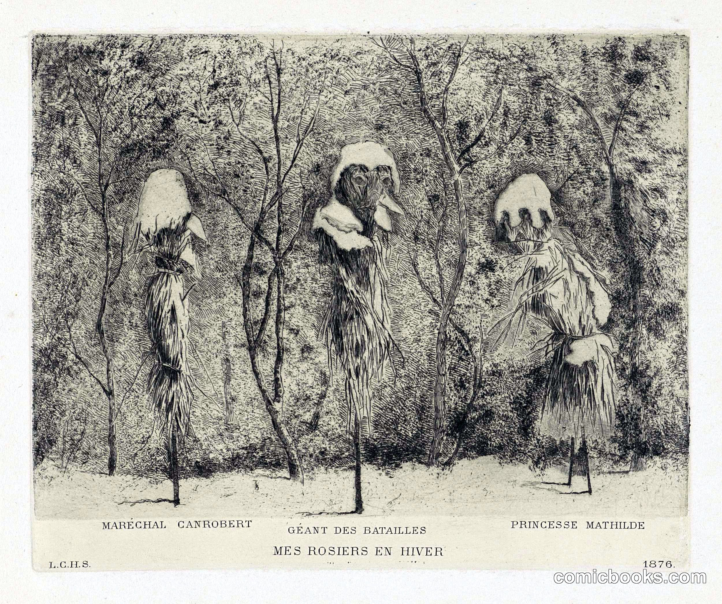 Mes Rosiers en Hiver (My Roses in Winter)