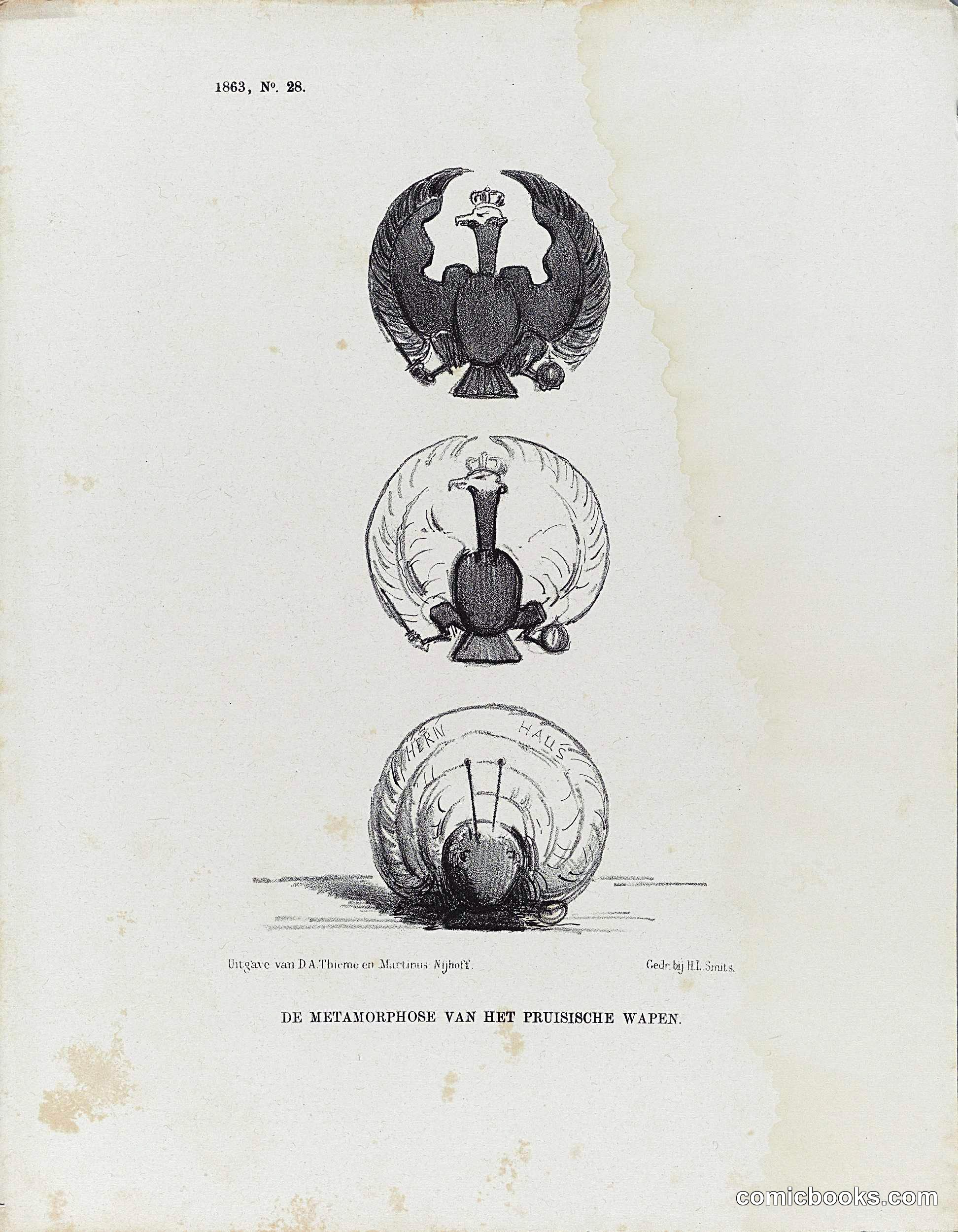 The Metamorphosis of the Prussian Wasp