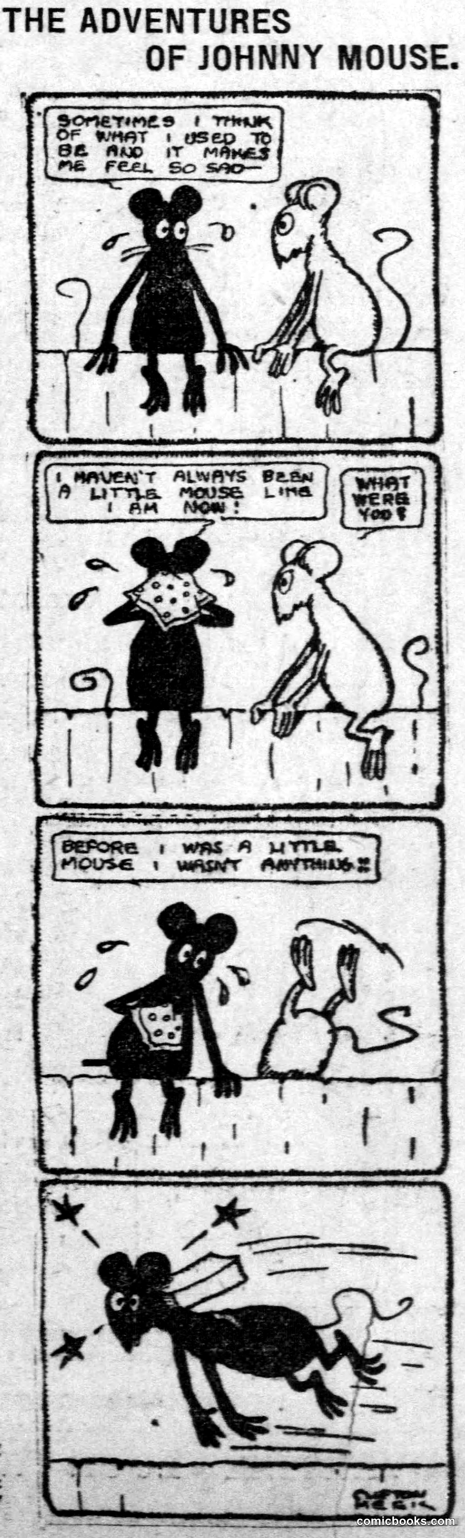 The Adventures of Johnny Mouse
