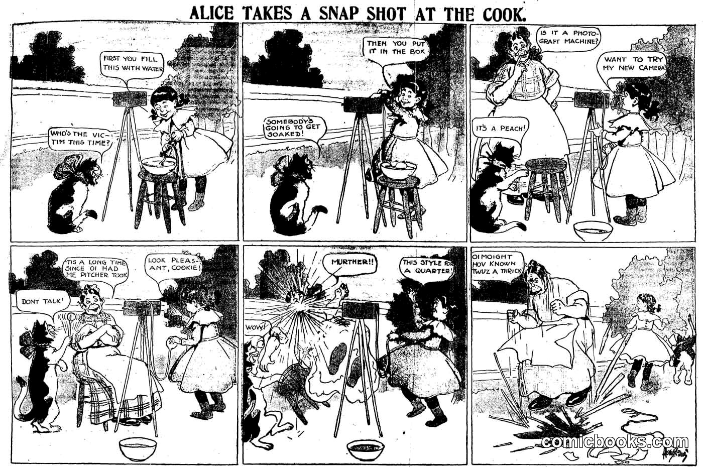 Alice Takes a Snap Shot at the Cook