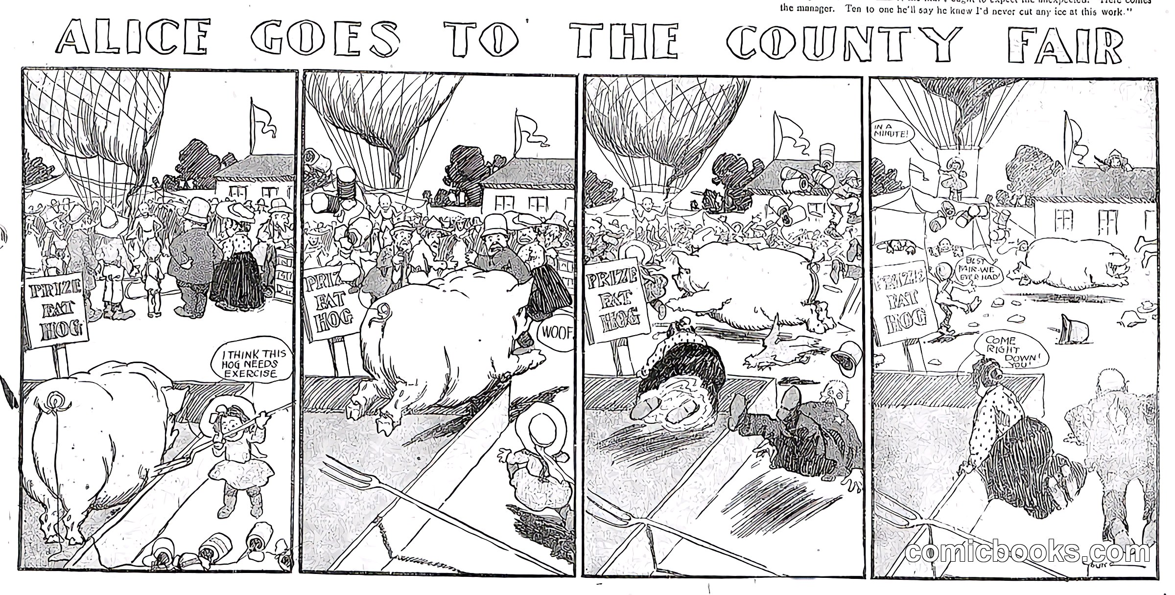 Alice Goes to the Country Fair