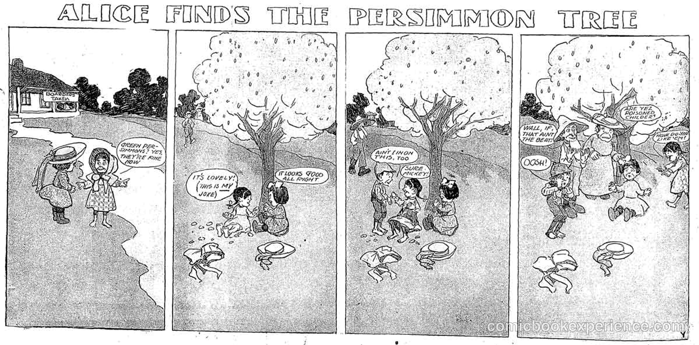 Alice Finds the Persimmon Tree