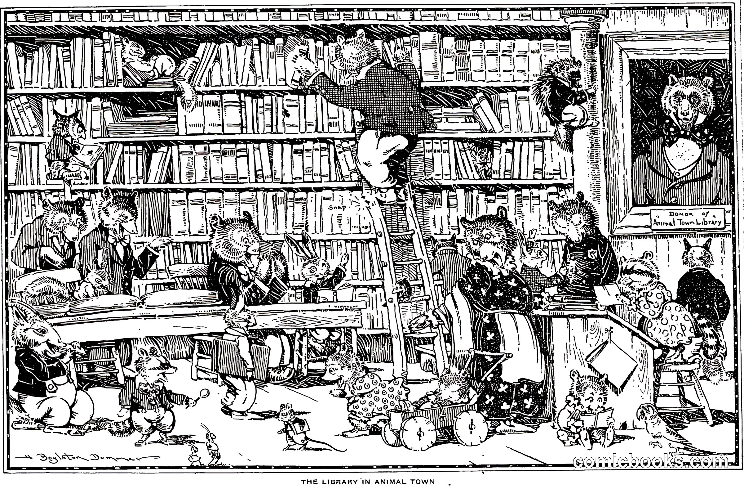 The Library in Animal Town