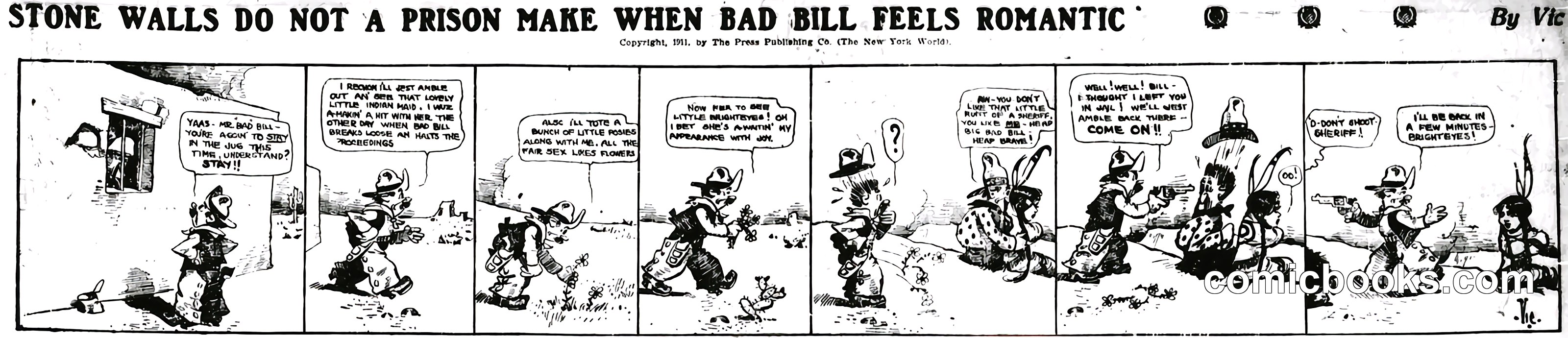 Bad Bill the Western Wildcat