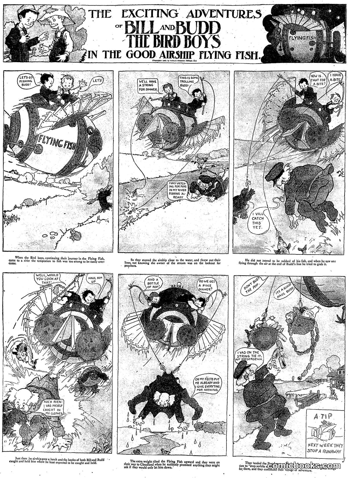 The Exciting Adventures of Bill and Budd the Bird Boys in the Good Airship Flying Fish