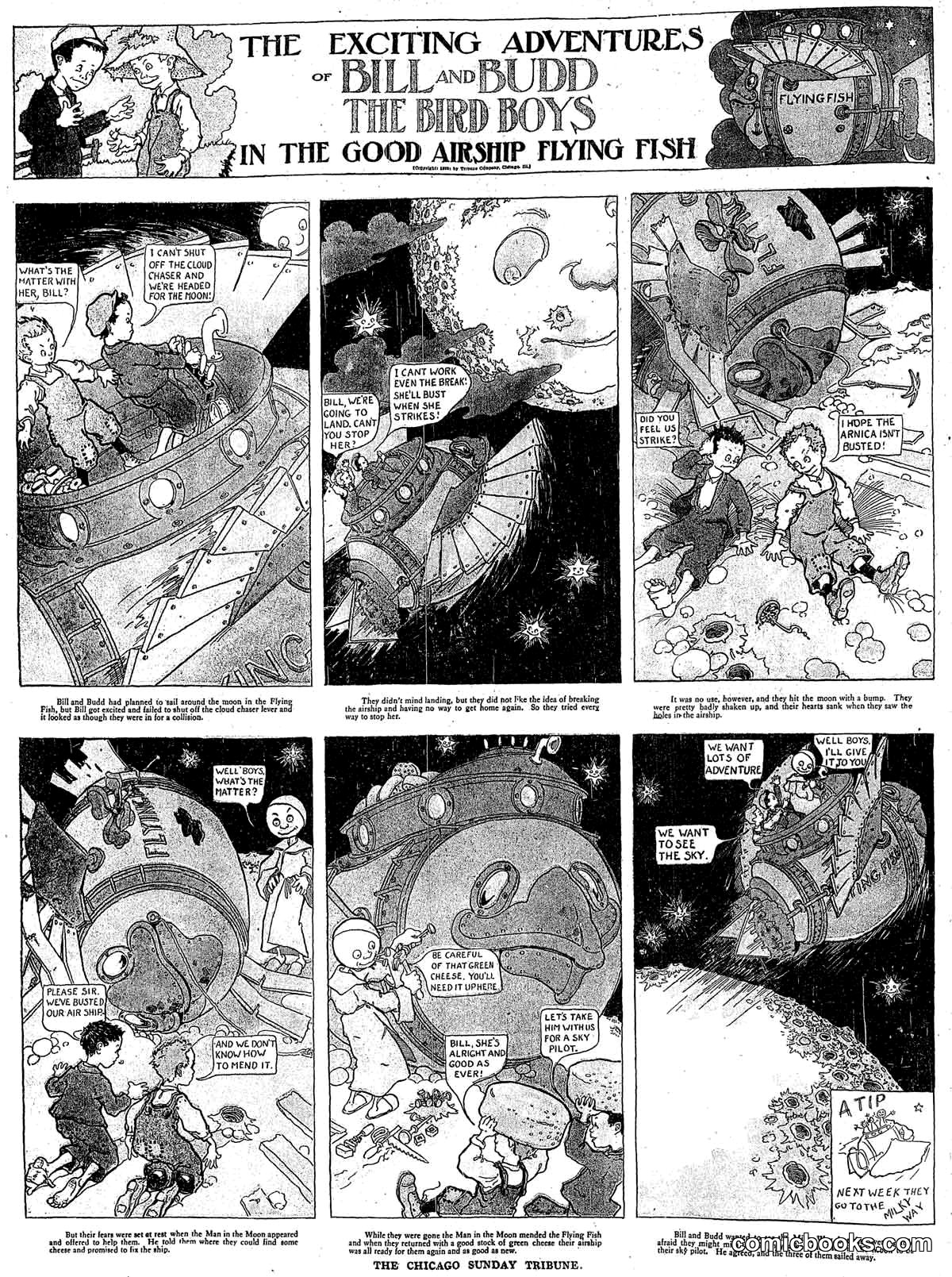 The Exciting Adventures of Bill and Budd the Bird Boys in the Good Airship Flying Fish