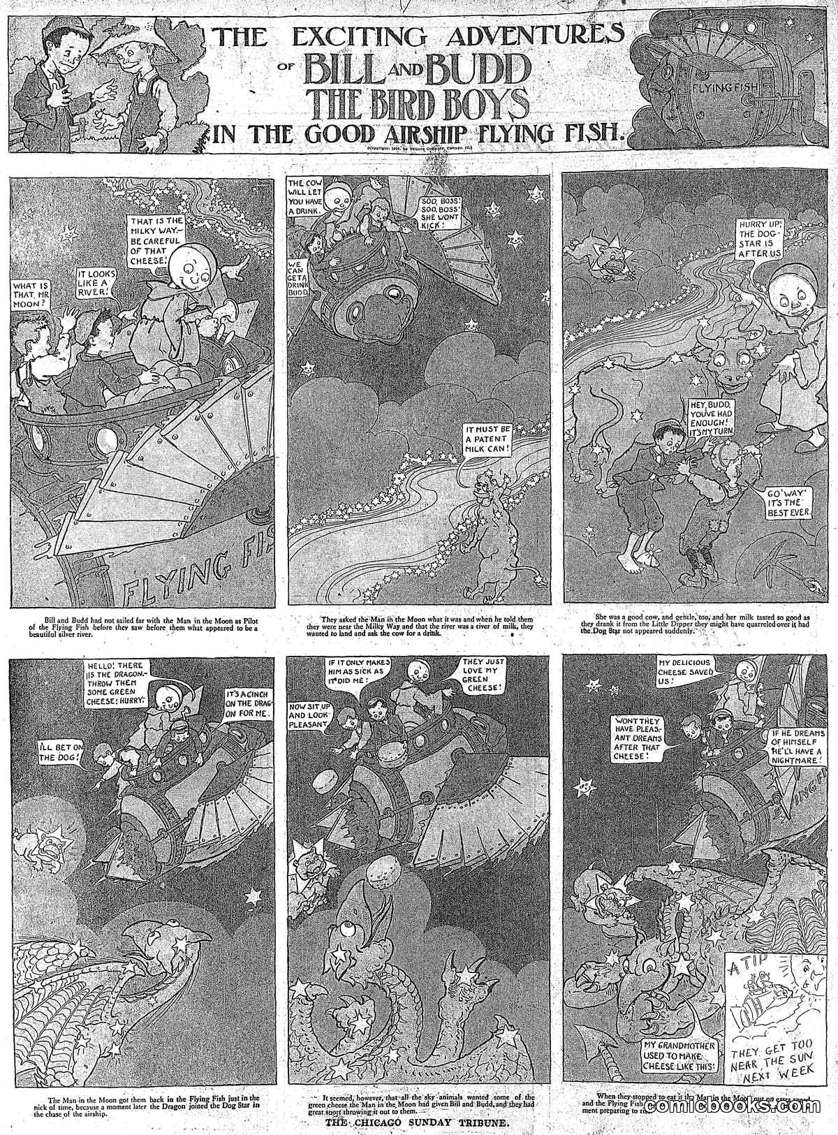 The Exciting Adventures of Bill and Budd the Bird Boys in the Good Airship Flying Fish