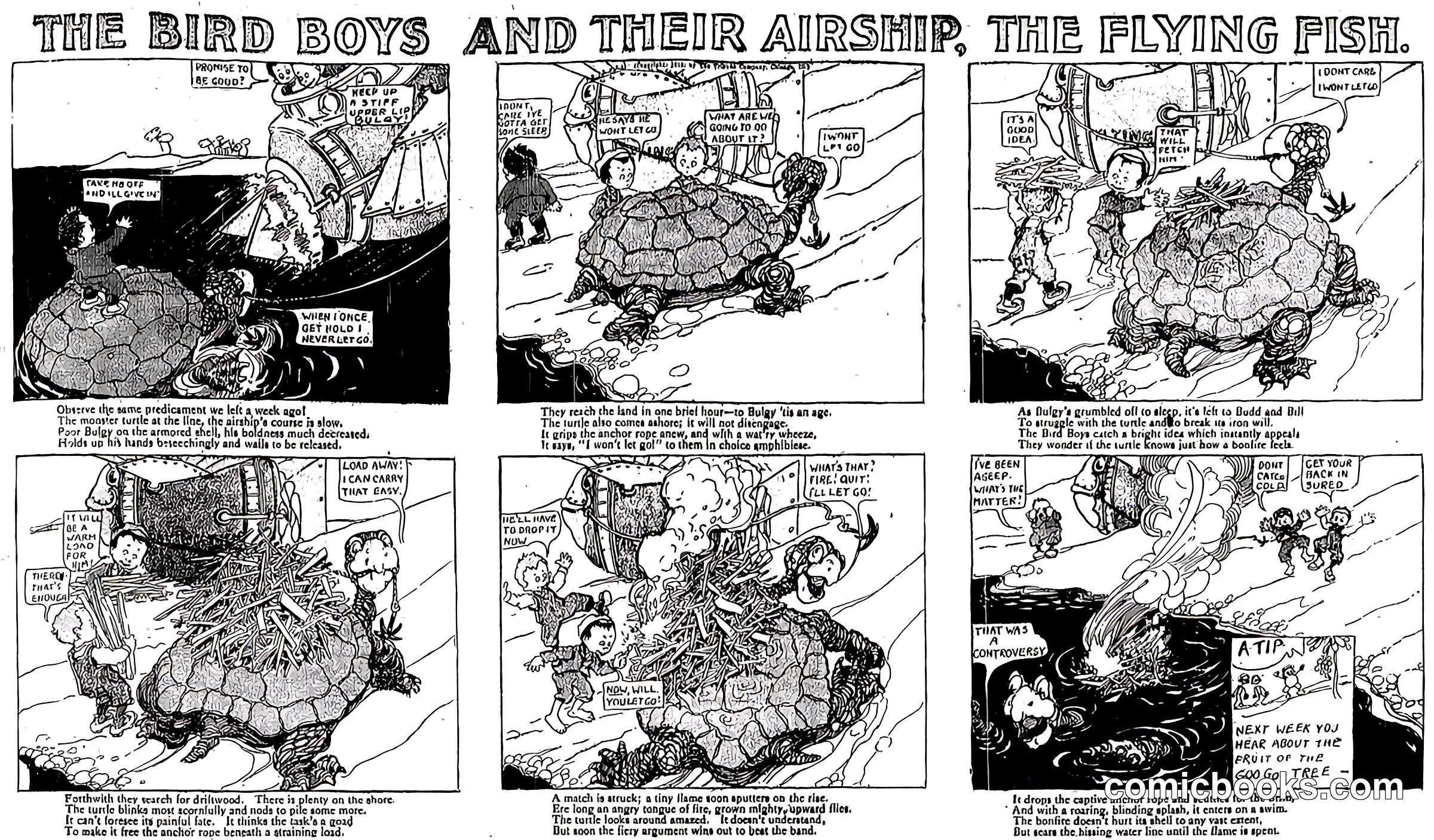 The Bird Boys and Their Airship, The Flying Fish