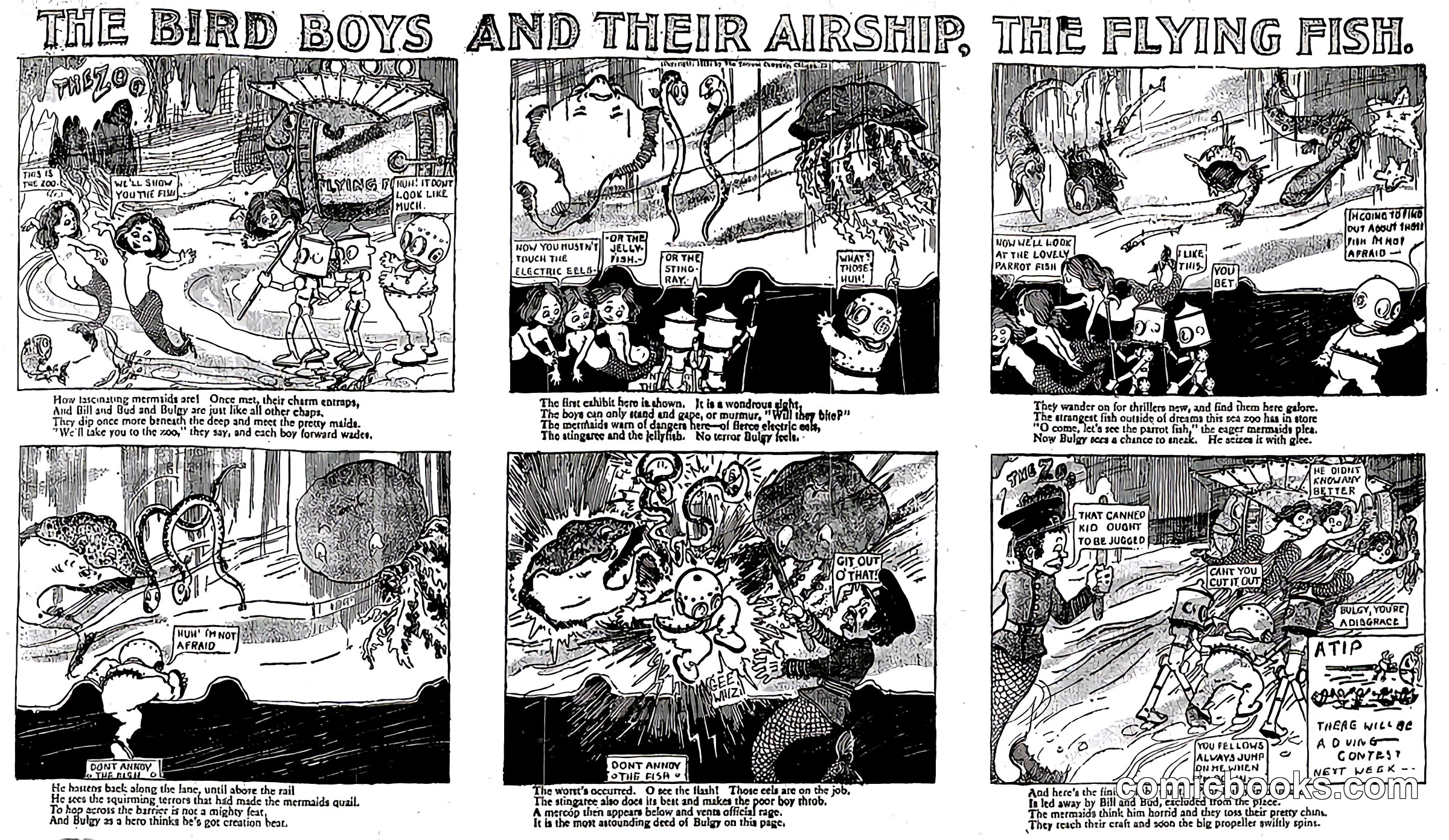 The Bird Boys and Their Airship, The Flying Fish