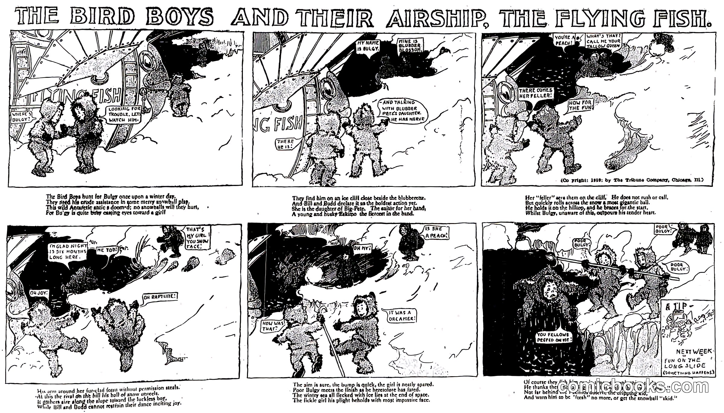 The Bird Boys and Their Airship: The Flying Fish