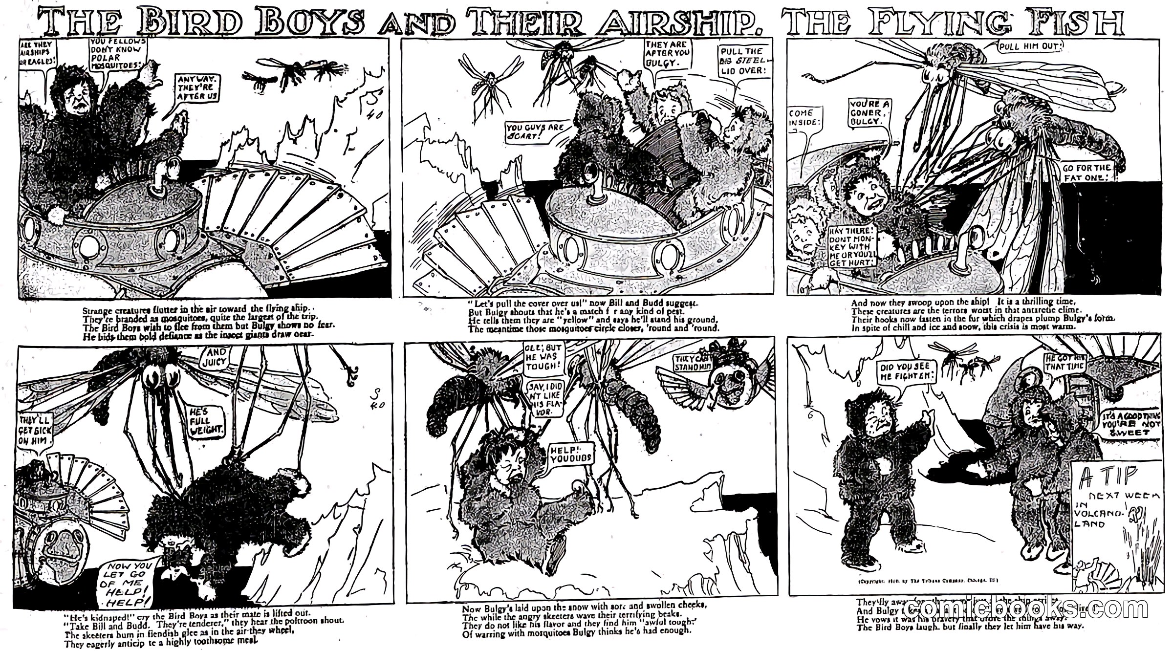 The Bird Boys and Their Airship, The Flying Fish