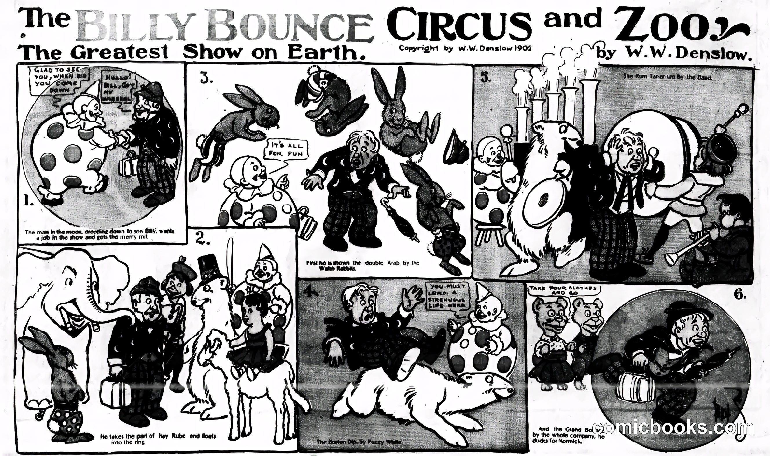 The Billy Bounce Circus and Zoo