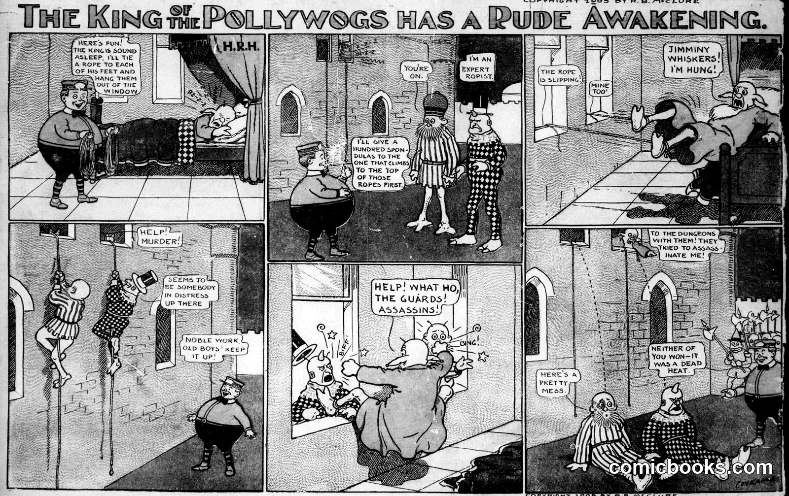 The King of the Pollywogs Has a Rude Awakening