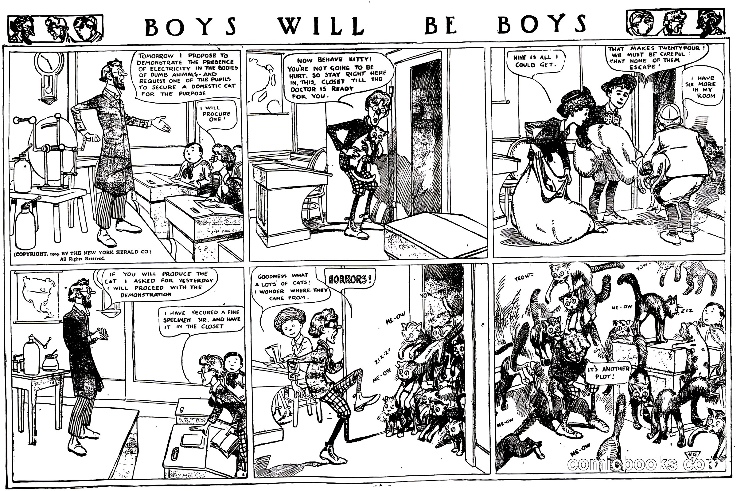 Boys Will Be Boys