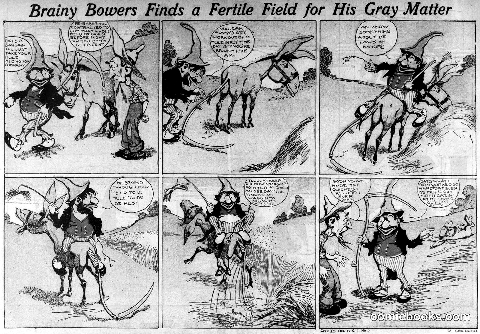 Brainy Bowers Finds a Fertile Field for His Gray Matter