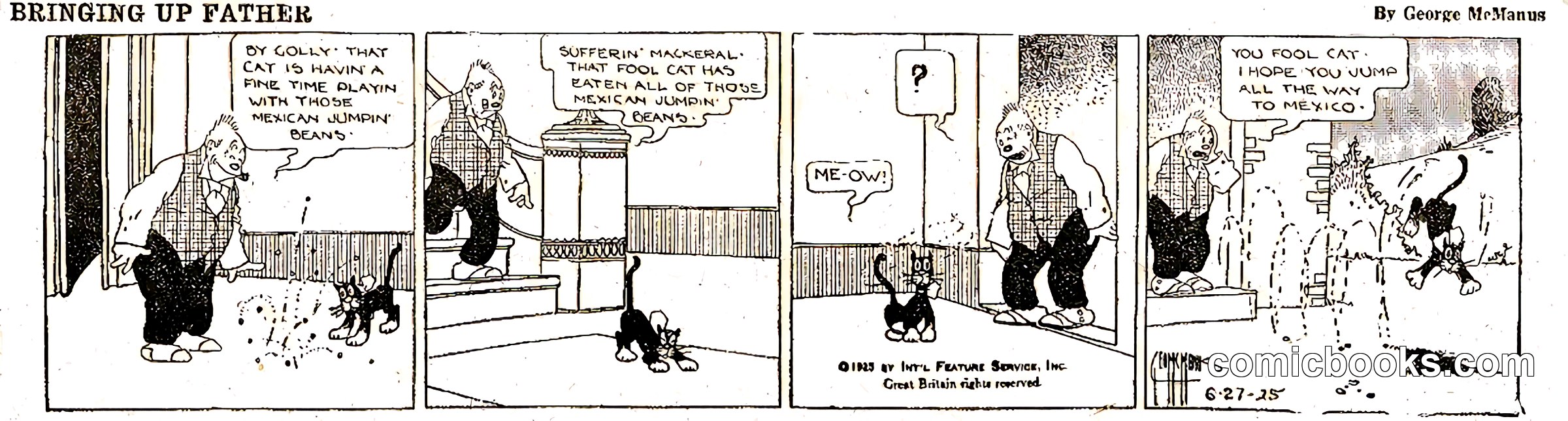 Bringing Up Father — June 27, 1925