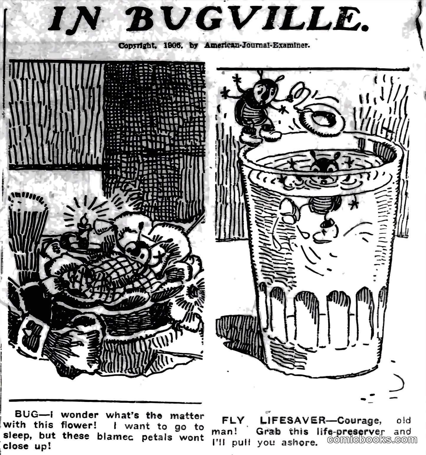 In Bugville