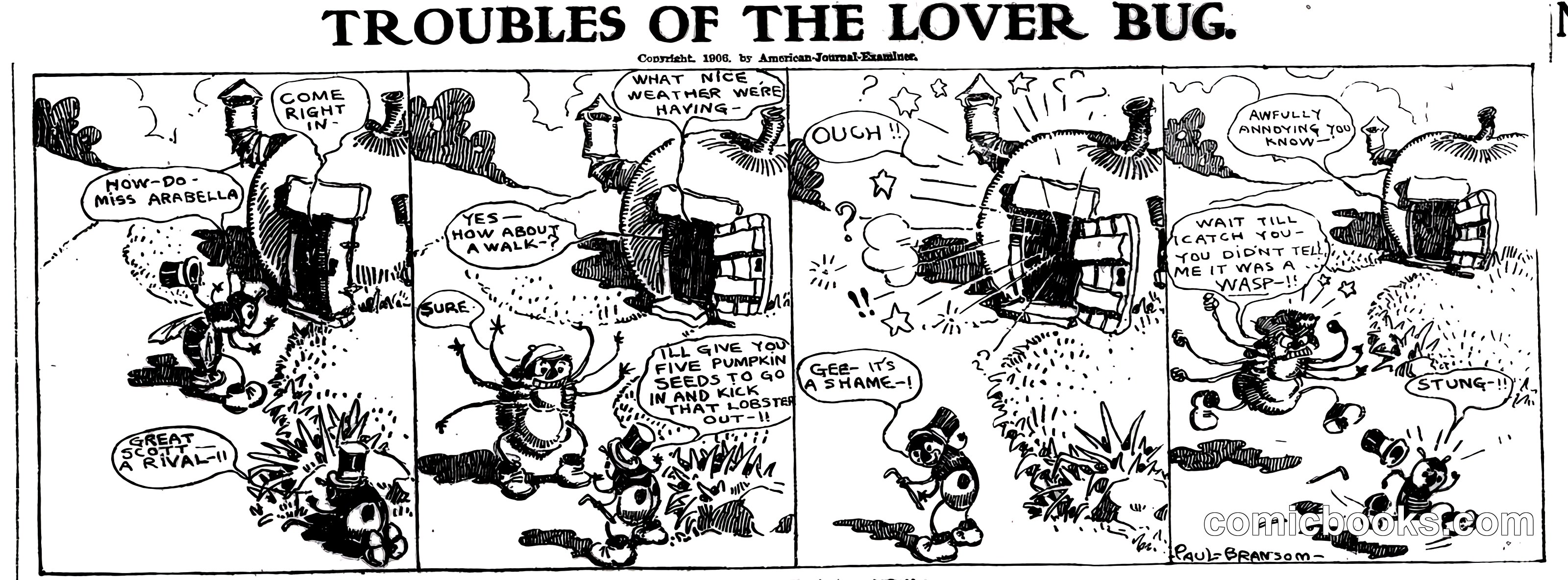 Troubles of the Lover Bug
