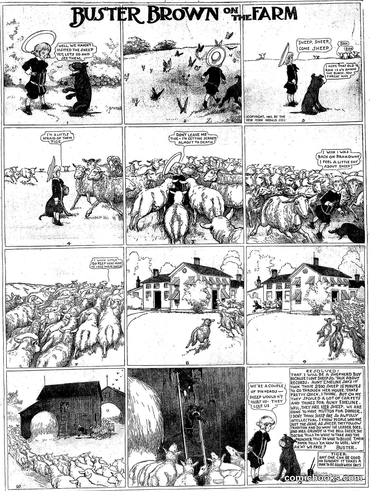 Buster Brown — 1905-08-13
