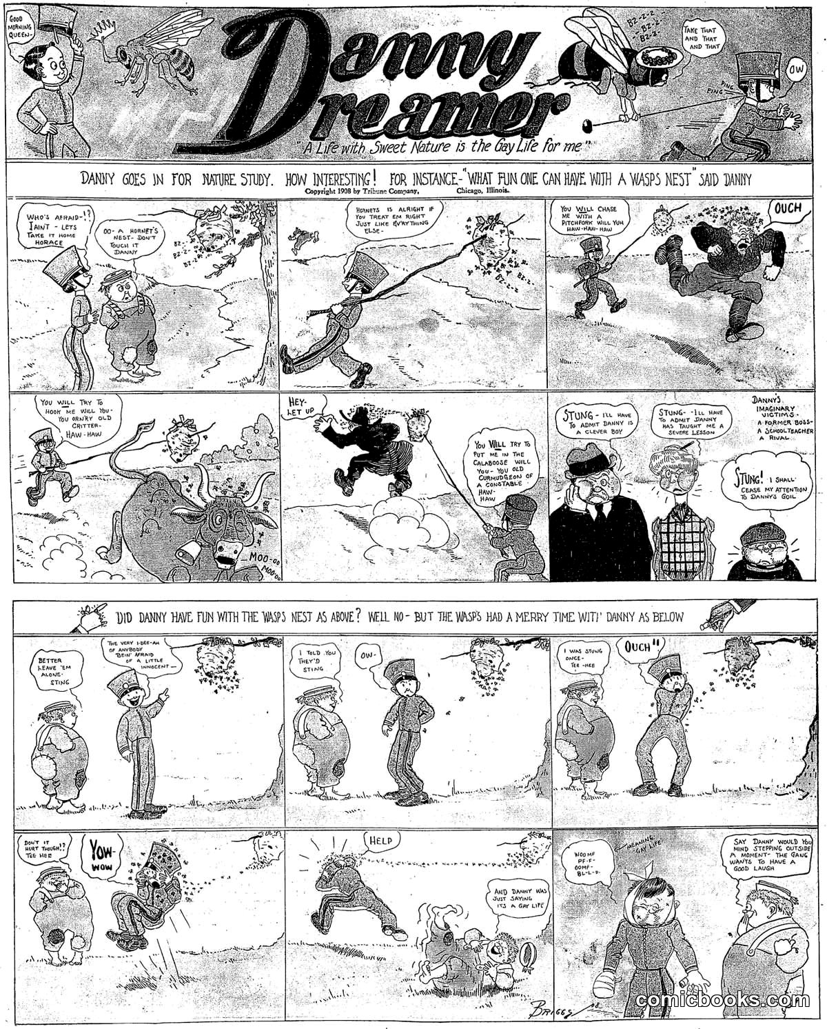 Danny Dreamer