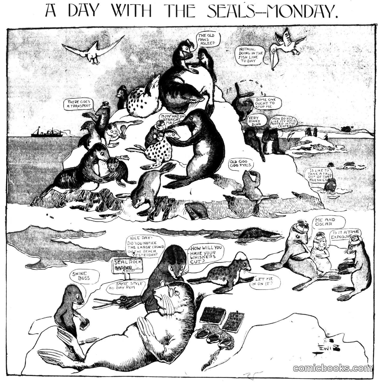 A Day with the Seals—Monday