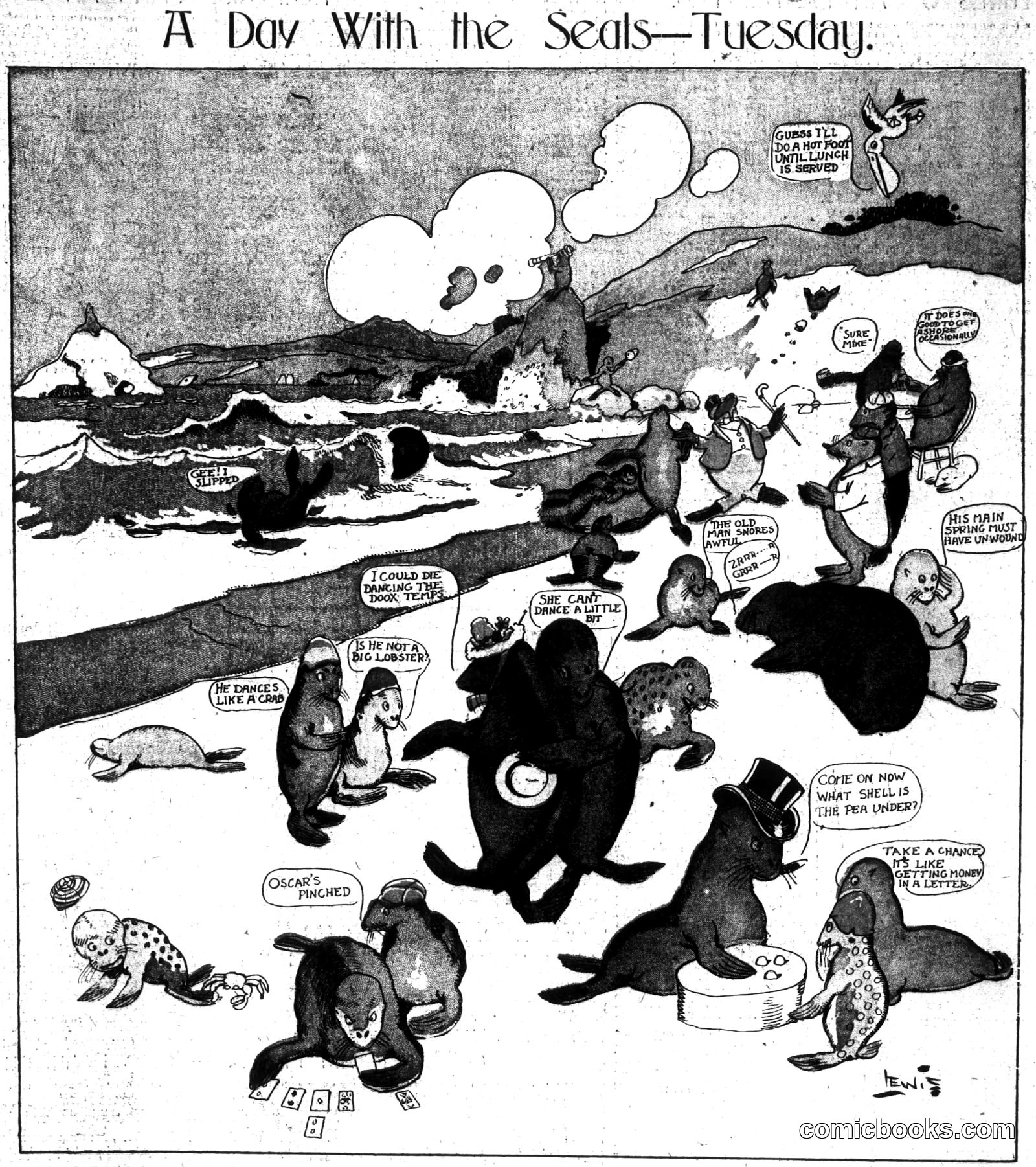 A Day With the Seals—Tuesday