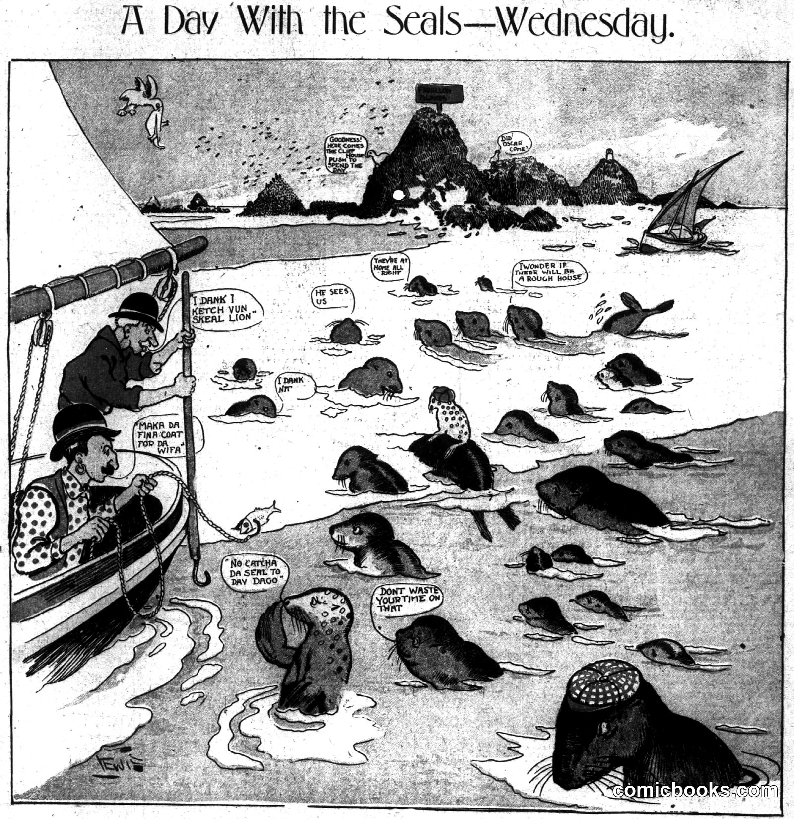 A Day With the Seals—Wednesday