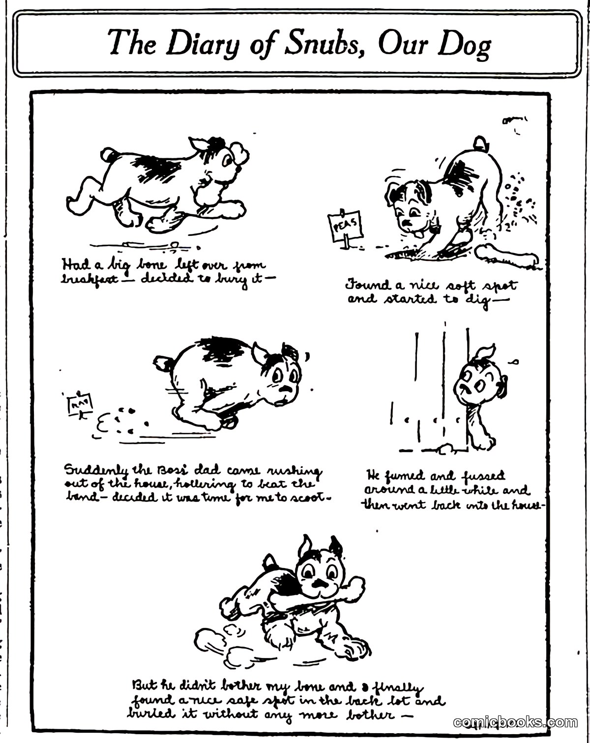 The Diary of Snubs, Our Dog