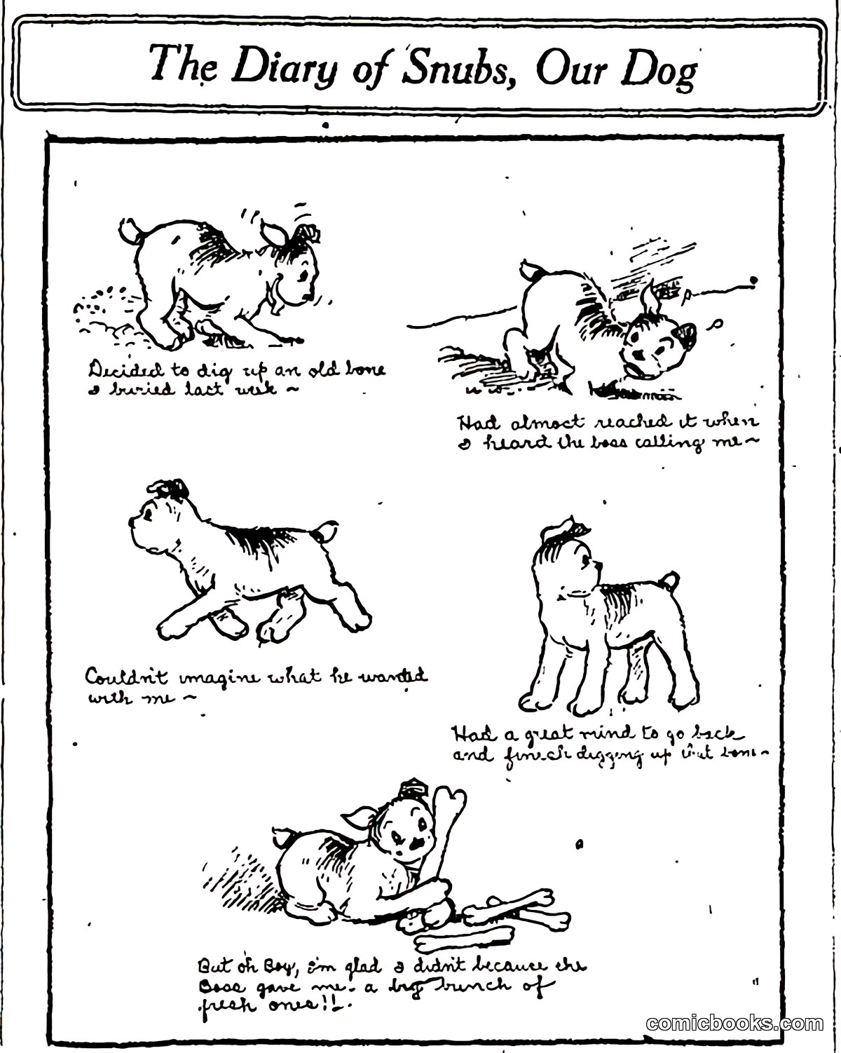 The Diary of Snubs, Our Dog