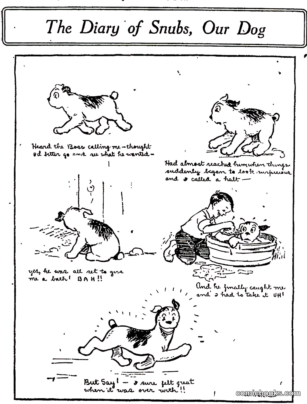 The Diary of Snubs, Our Dog