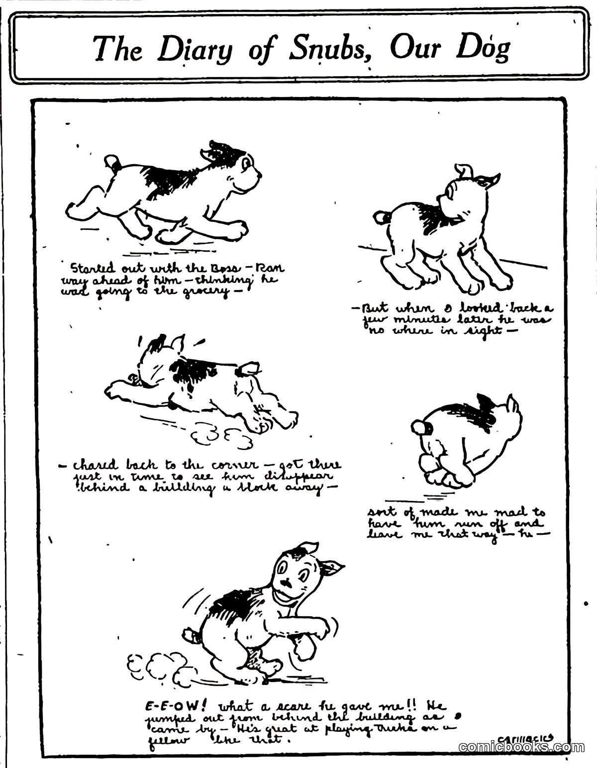 The Diary of Snubs, Our Dog