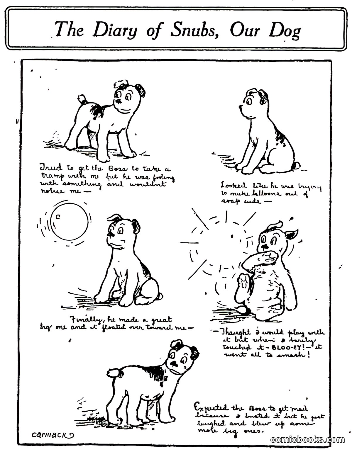 The Diary of Snubs, Our Dog