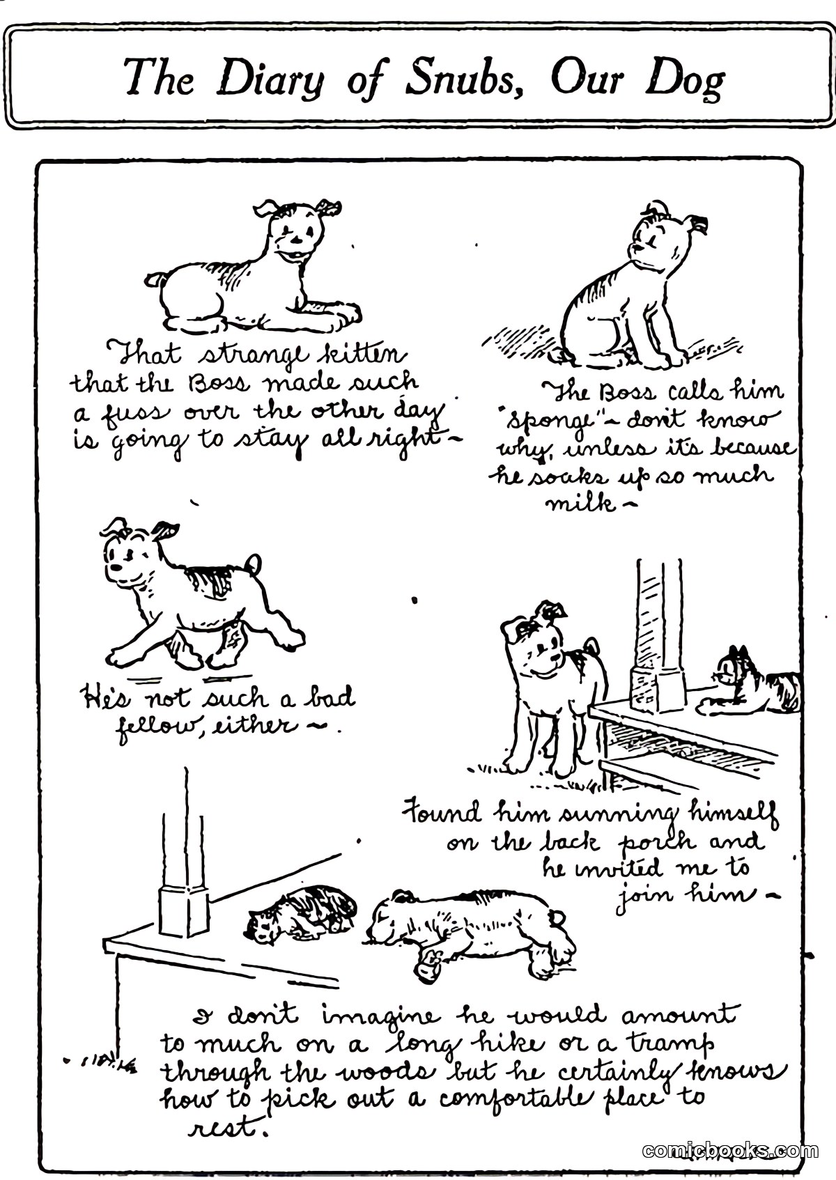 The Diary of Snubs, Our Dog