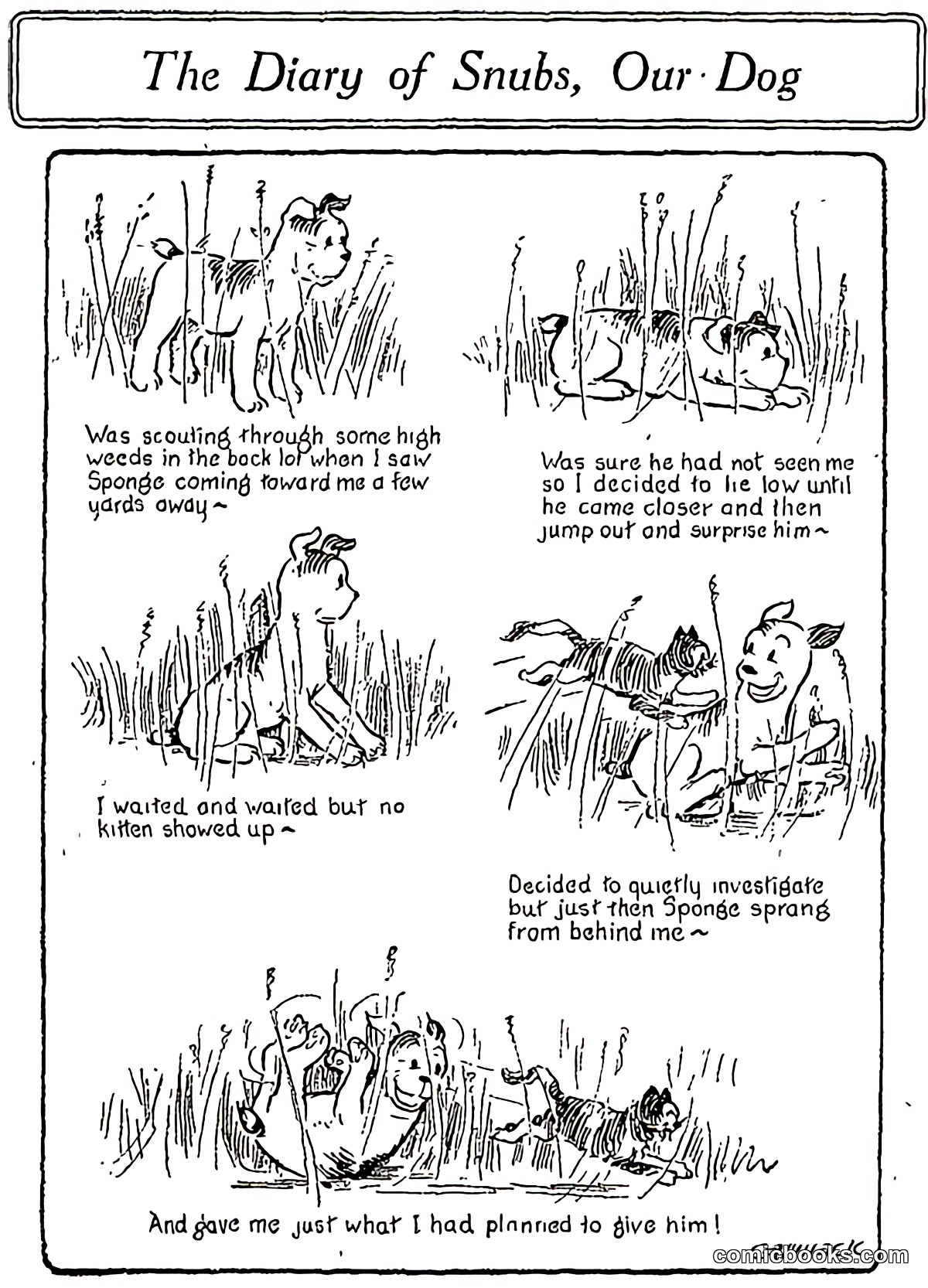 The Diary of Snubs, Our Dog