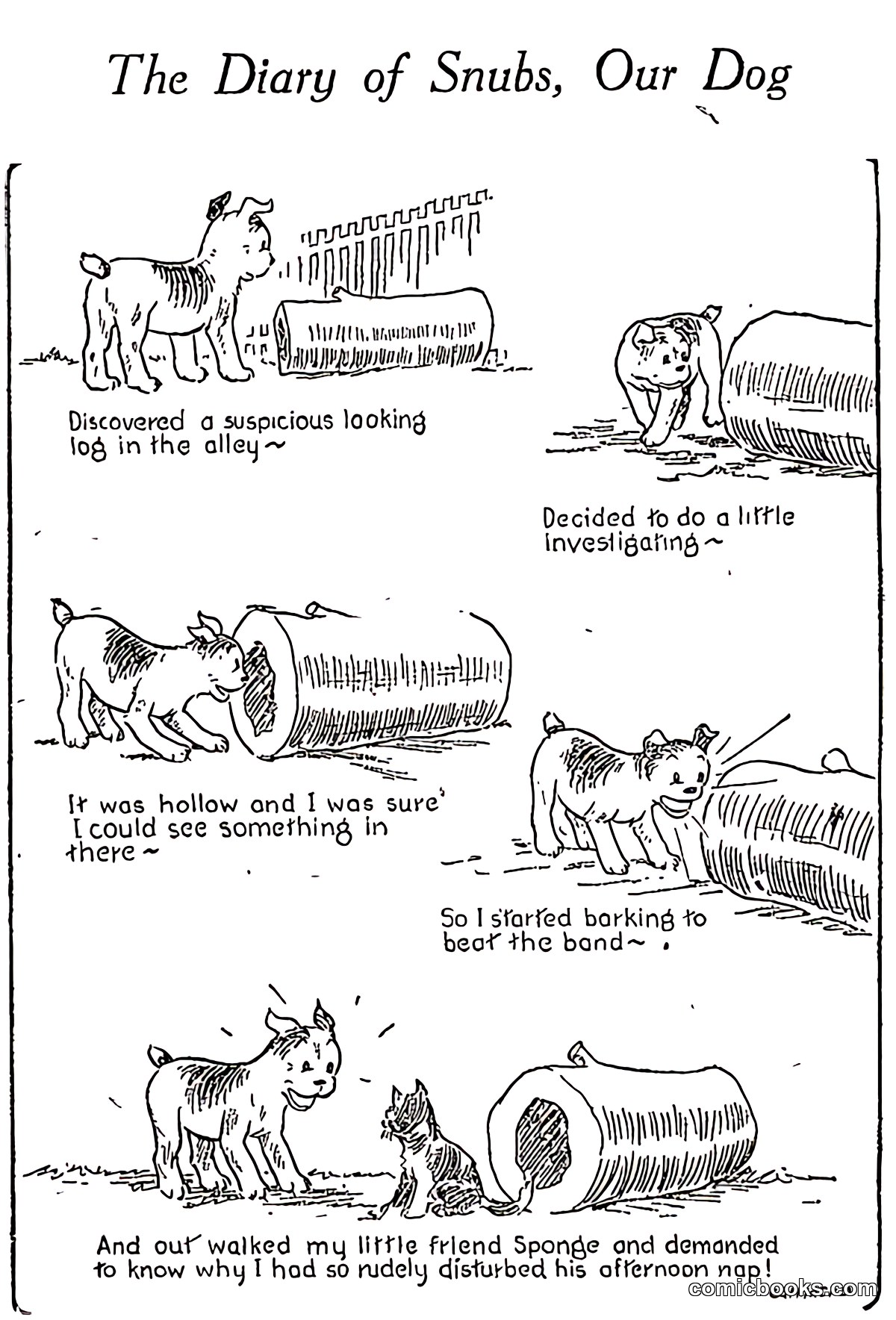 The Diary of Snubs, Our Dog