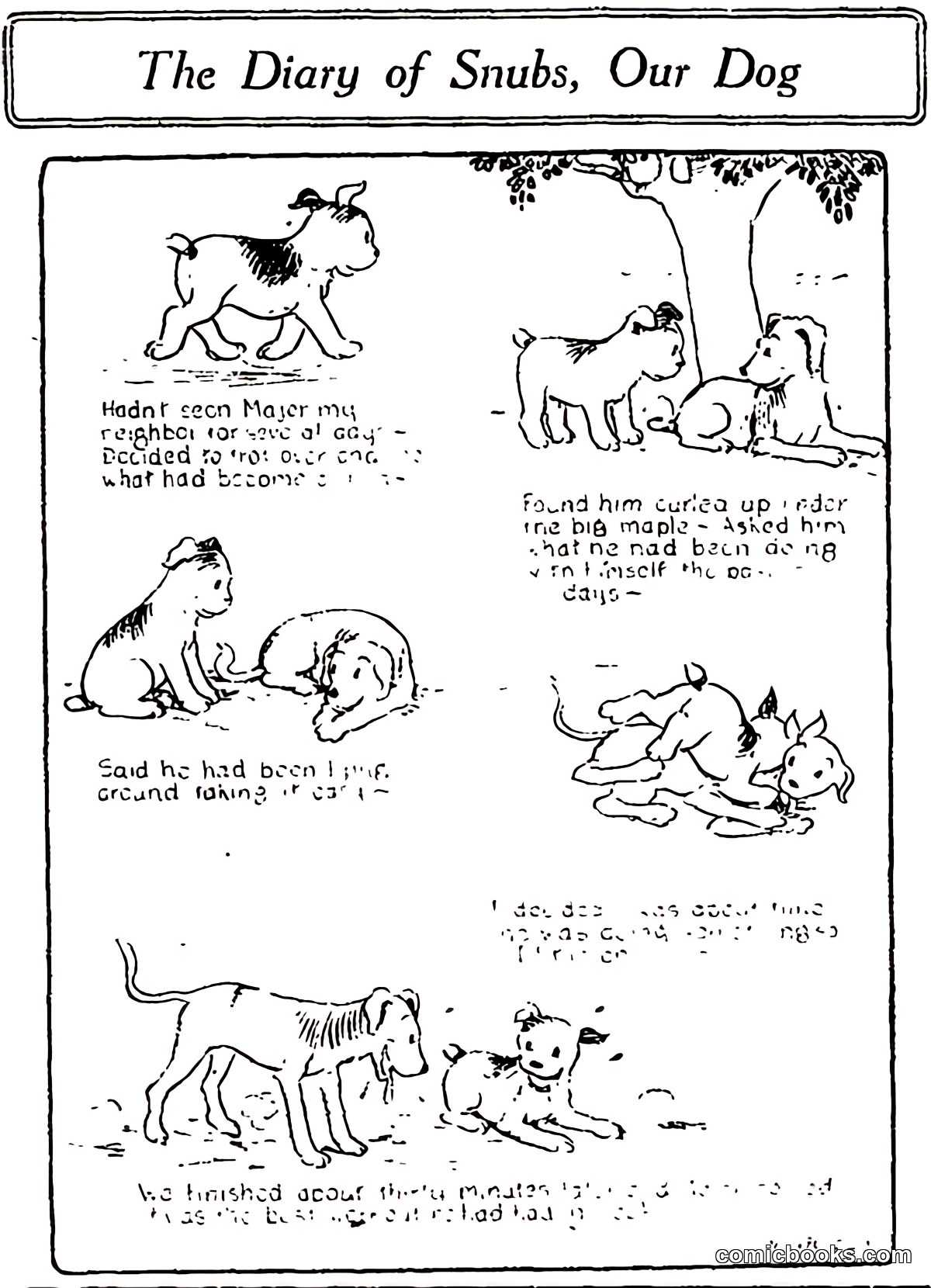 The Diary of Snubs, Our Dog