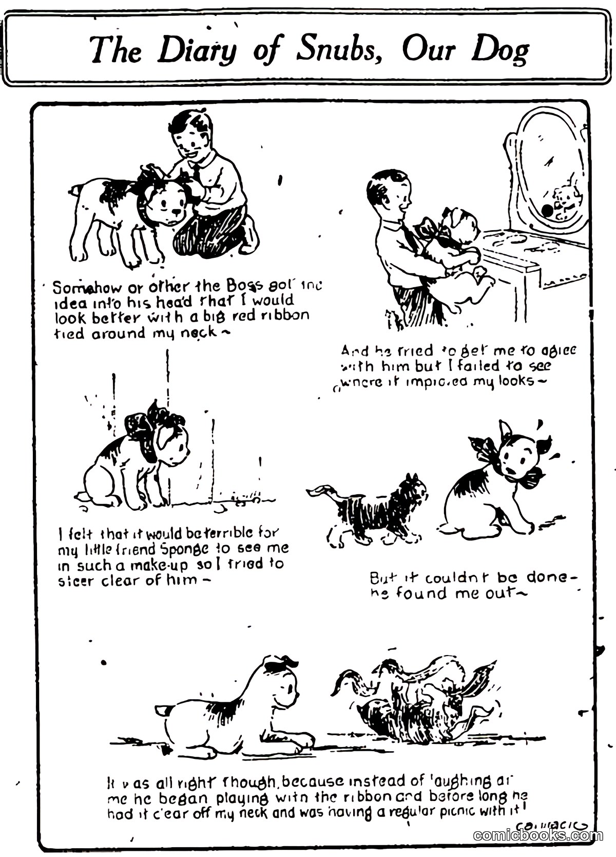 The Diary of Snubs, Our Dog