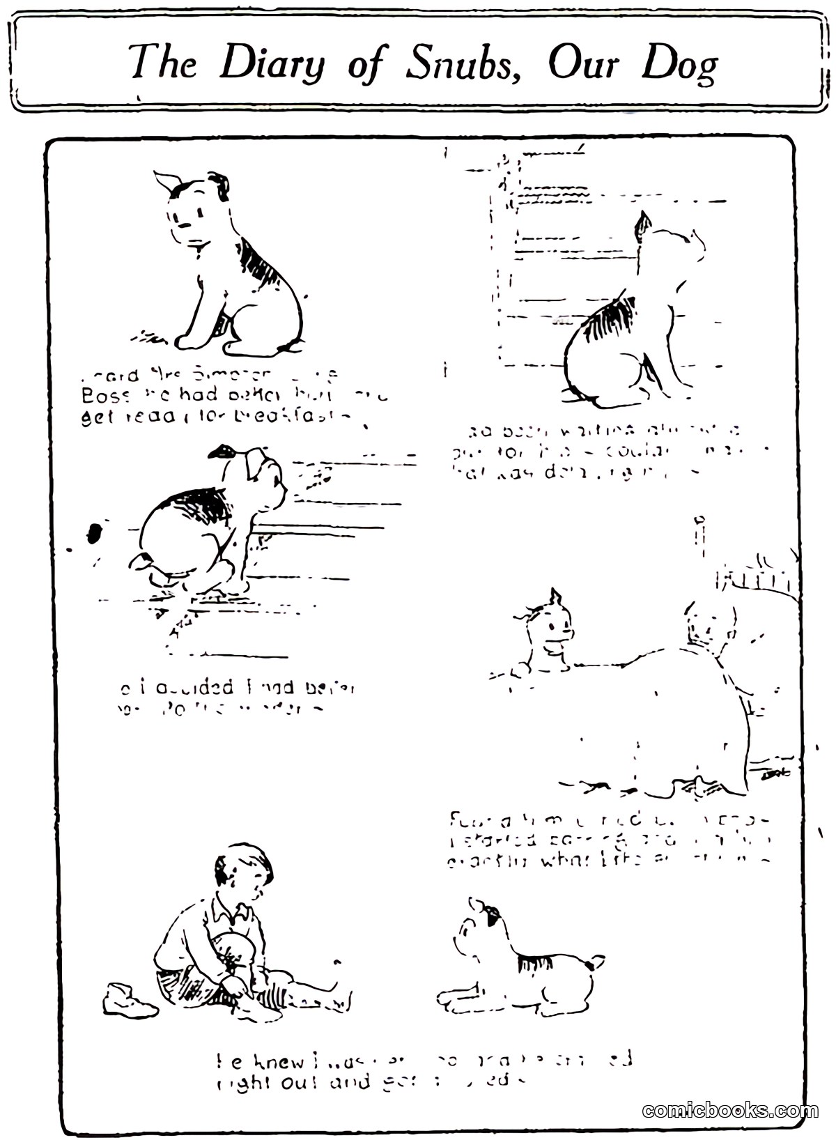 The Diary of Snubs, Our Dog