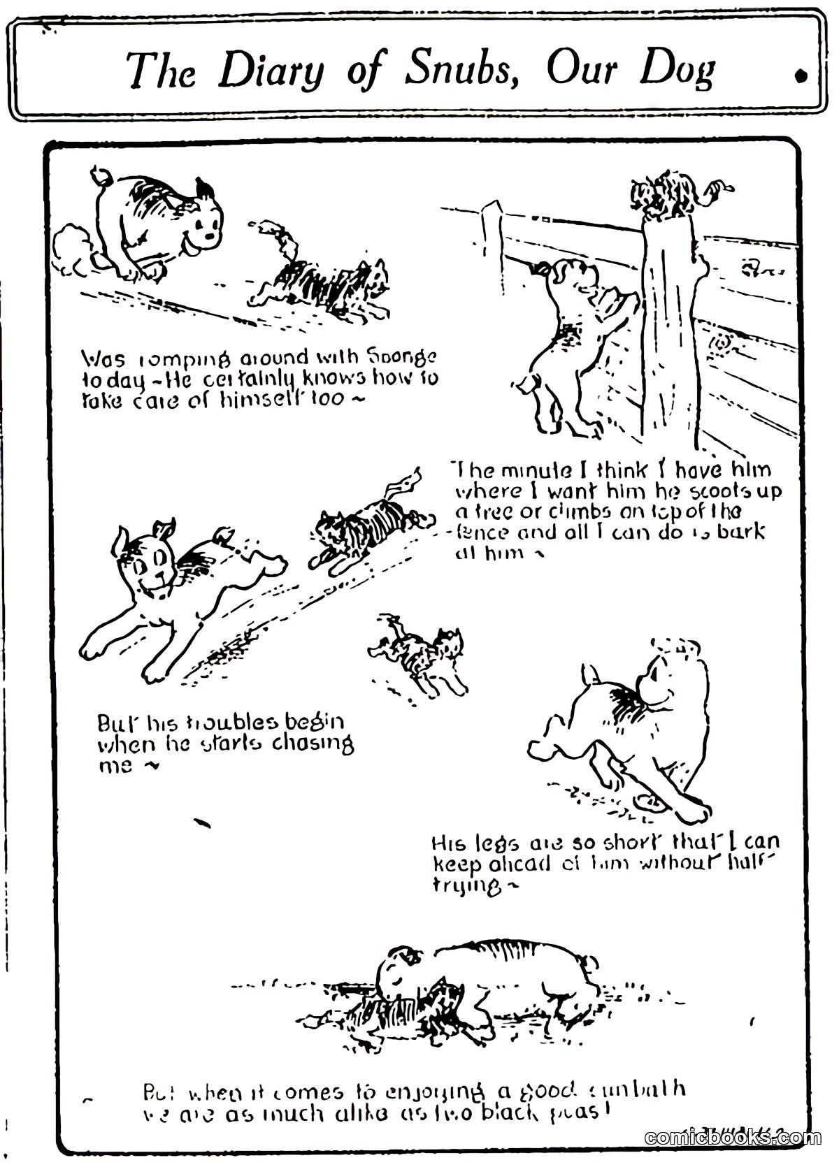 The Diary of Snubs, Our Dog