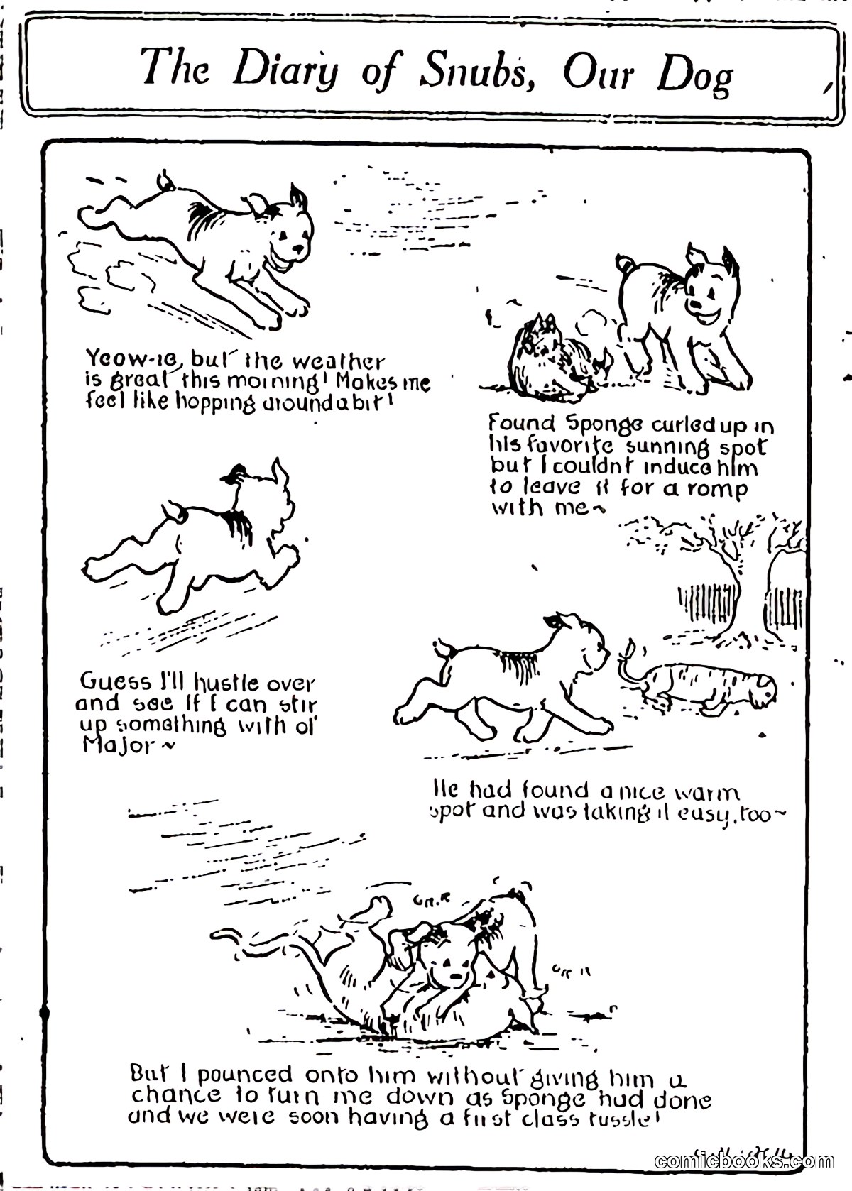 The Diary of Snubs, Our Dog