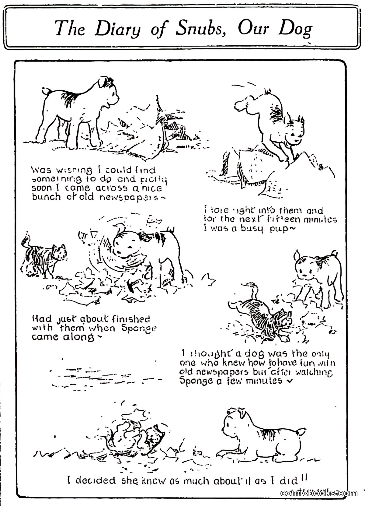 The Diary of Snubs, Our Dog