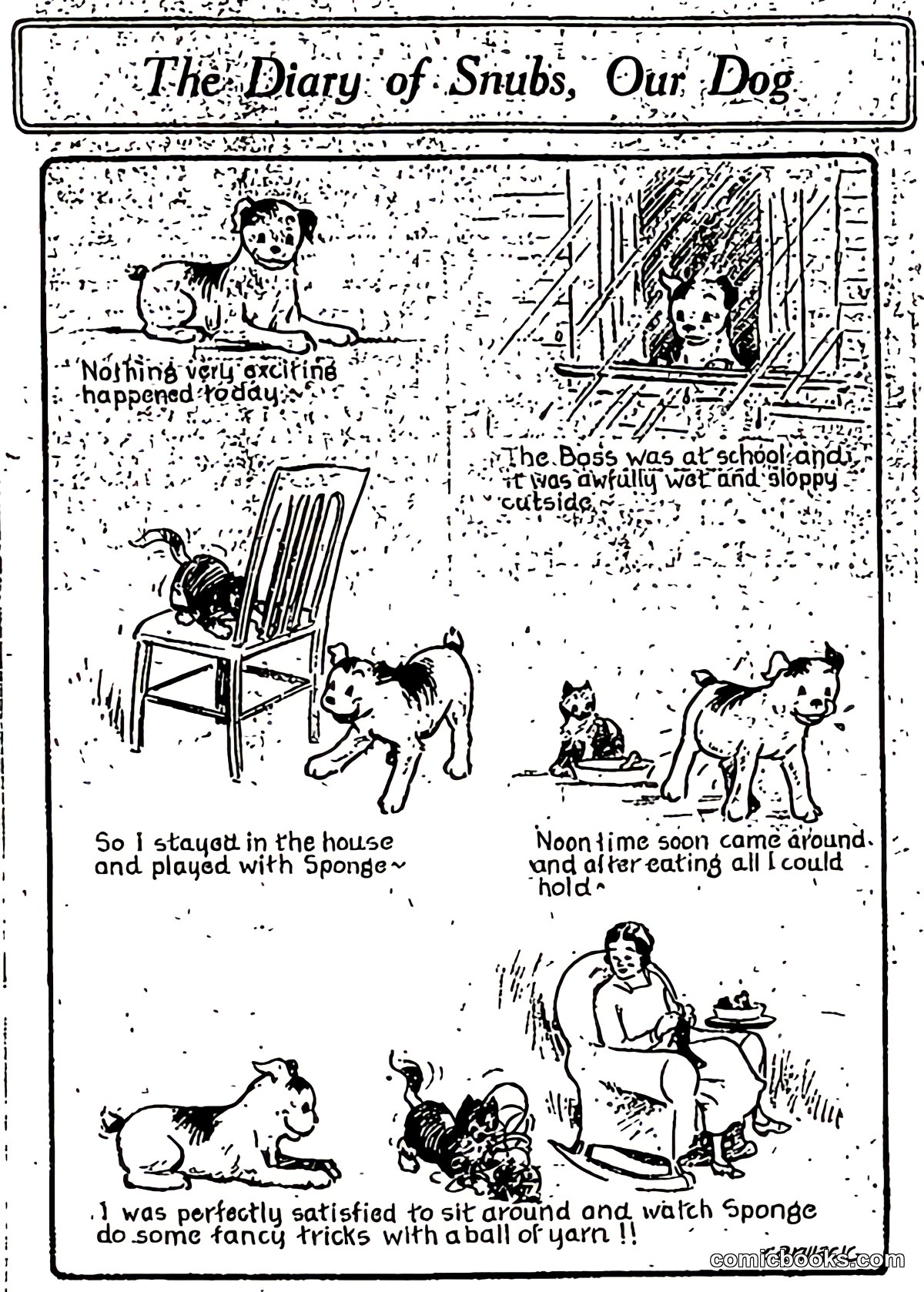 The Diary of Snubs, Our Dog