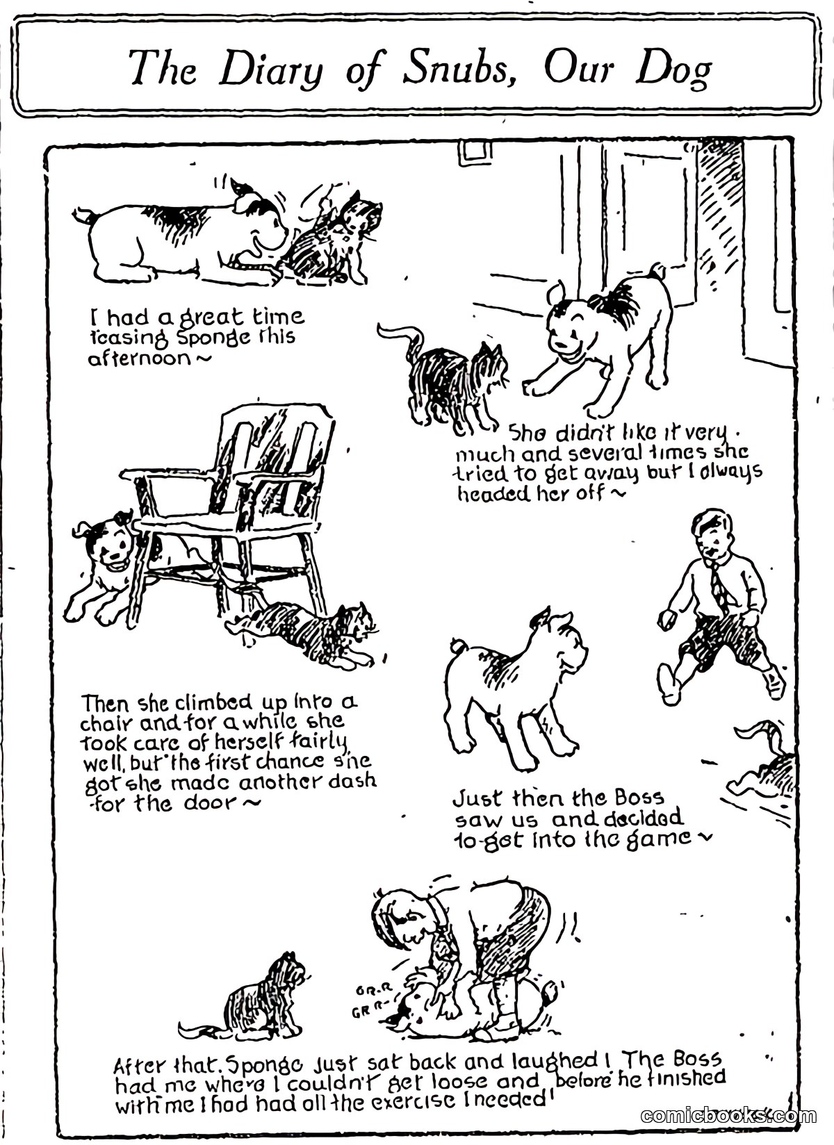 The Diary of Snubs, Our Dog