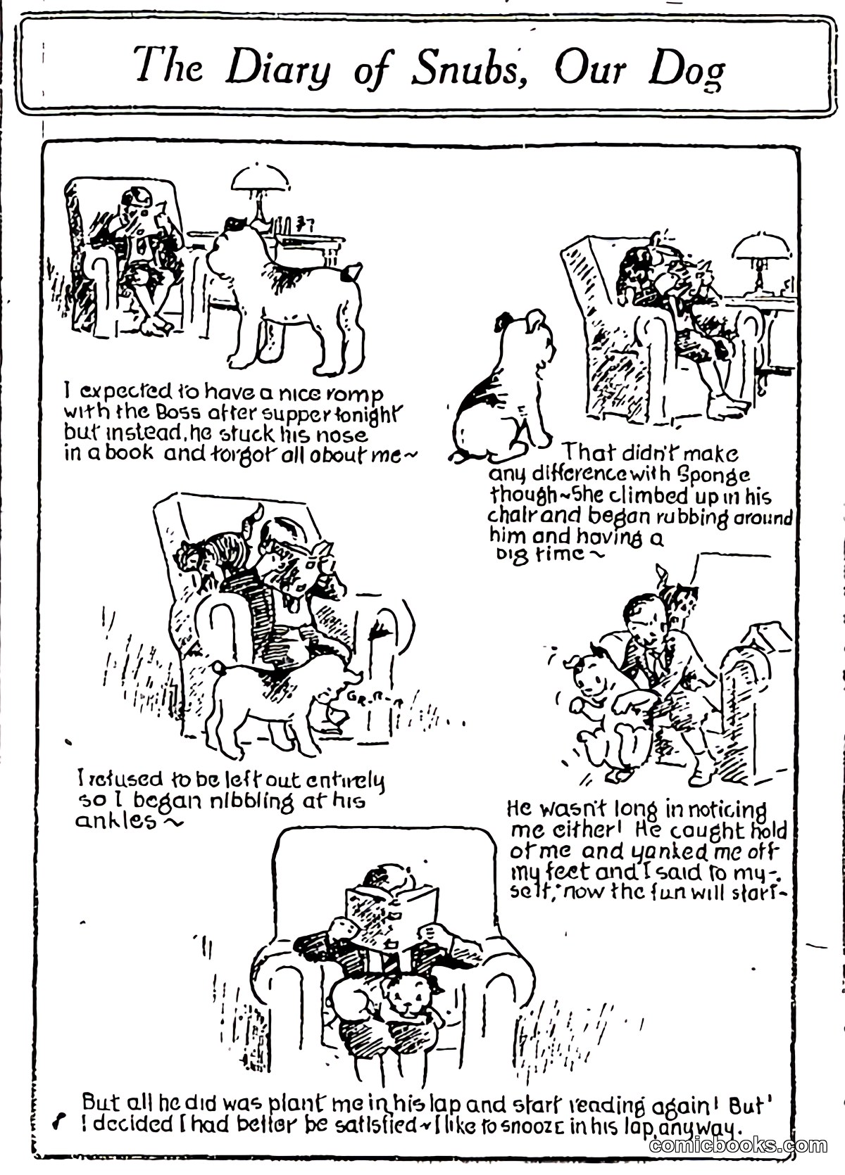 The Diary of Snubs, Our Dog