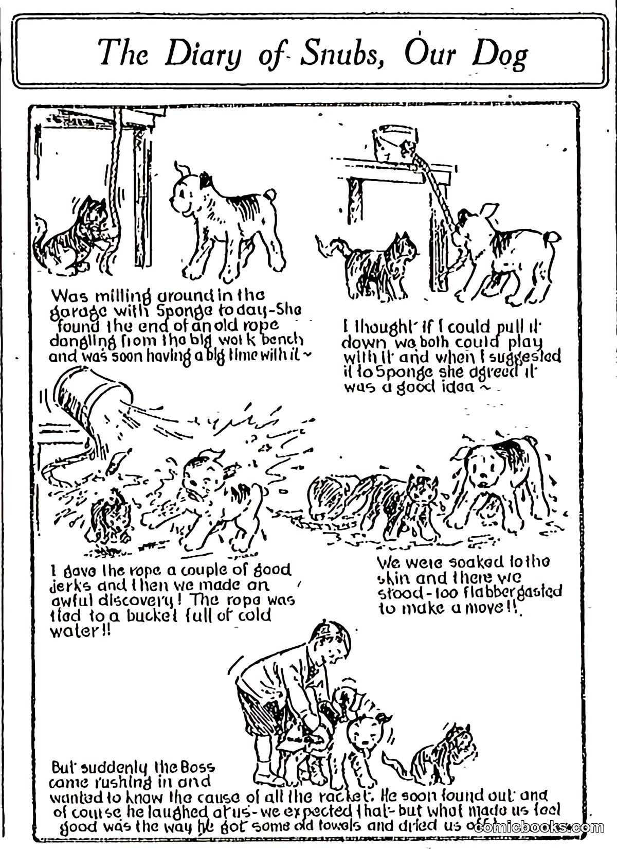 The Diary of Snubs, Our Dog