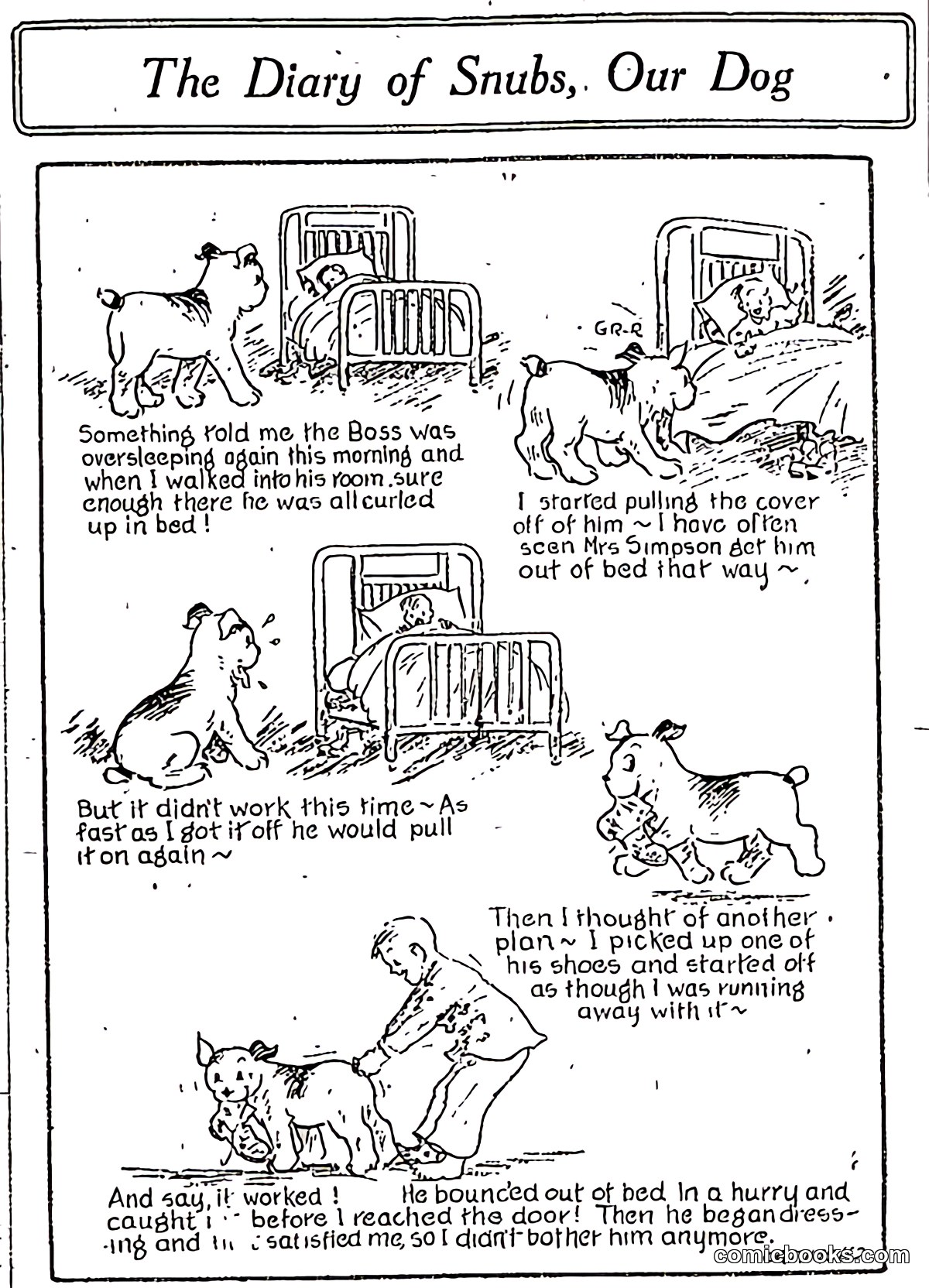 The Diary of Snubs, Our Dog