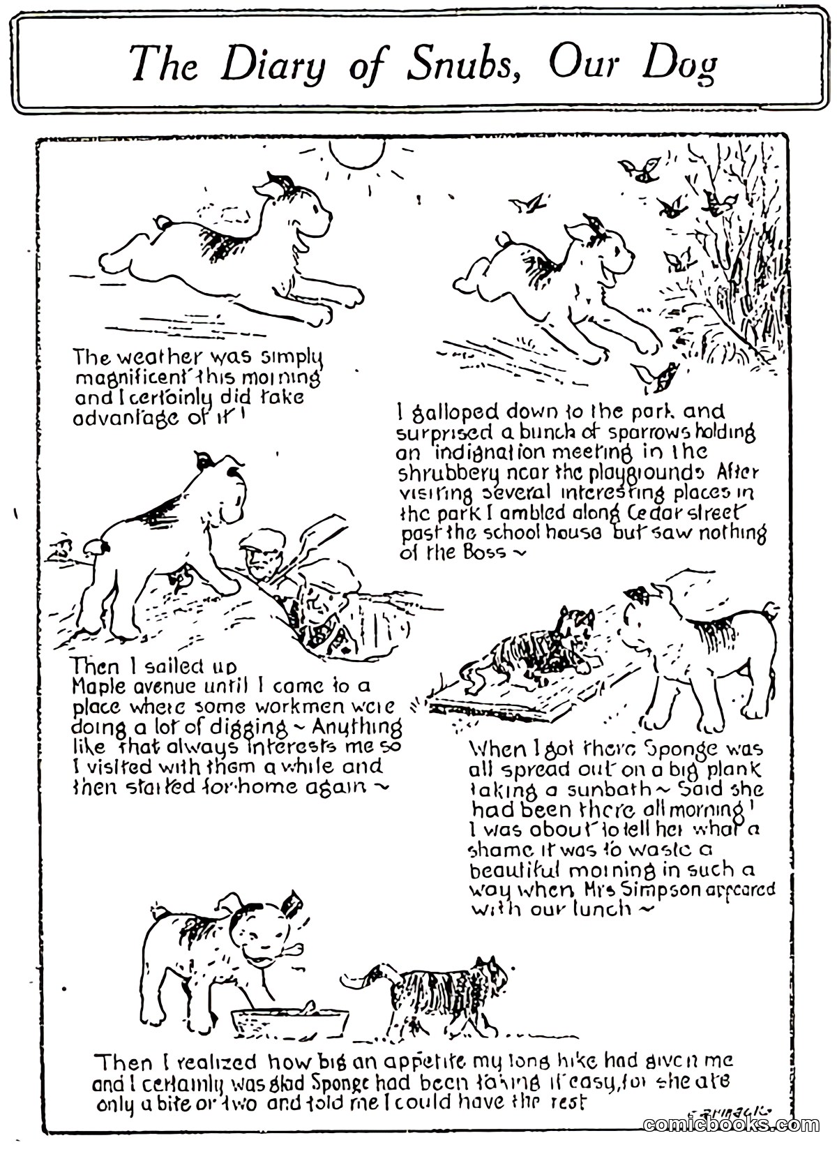 The Diary of Snubs, Our Dog