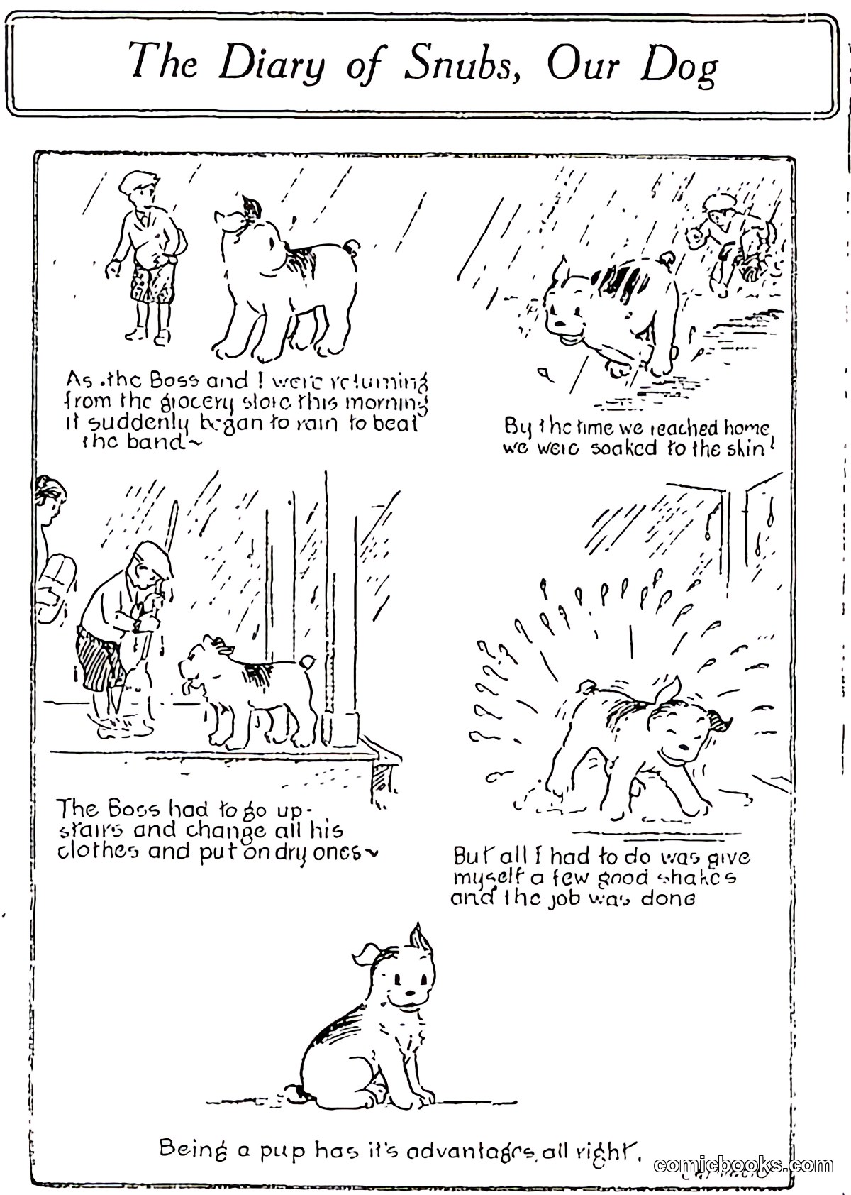 The Diary of Snubs, Our Dog