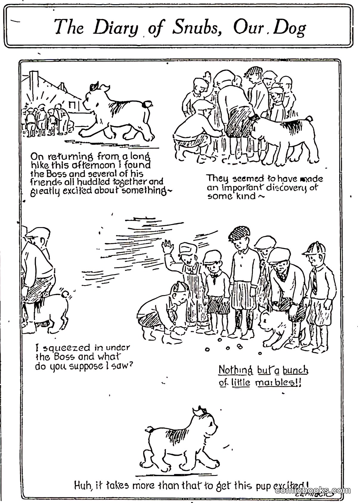 The Diary of Snubs, Our Dog